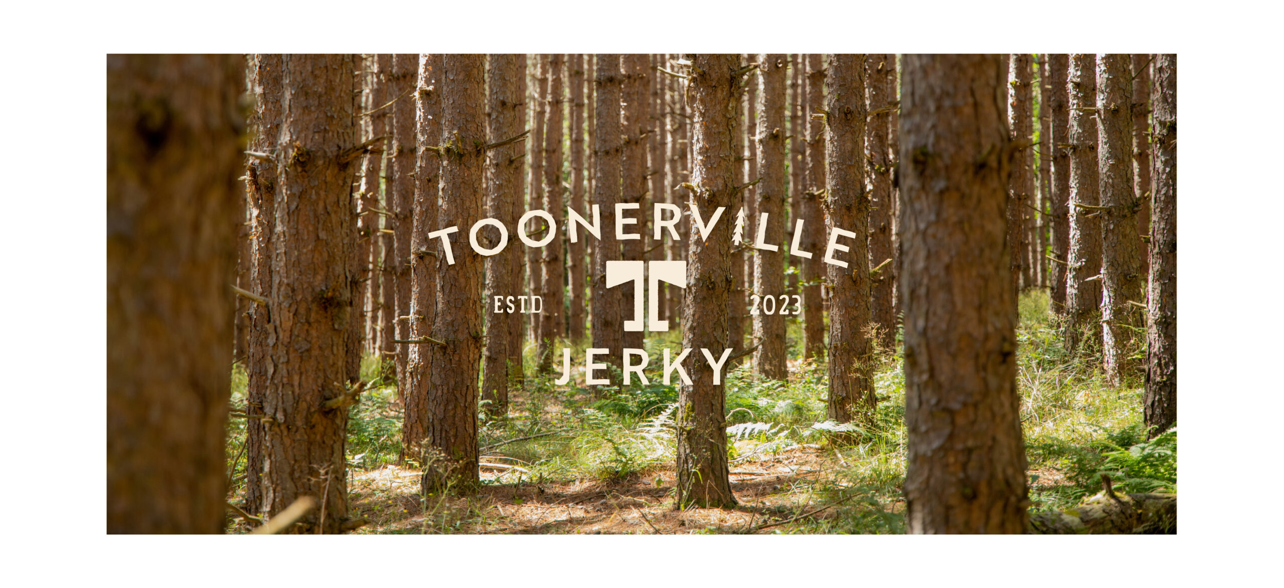 Toonerville-Portfolio-10